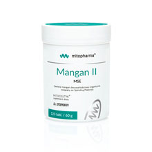 Mangan MSE