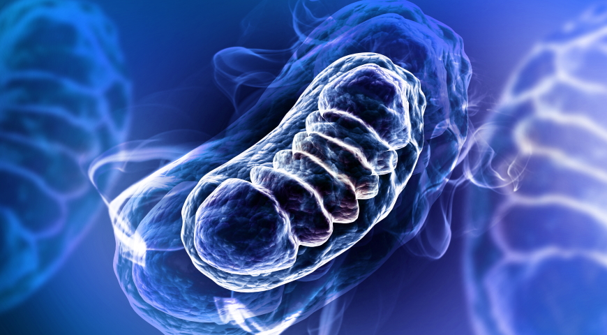 Klasyczne zaburzenia mitochondrialne
