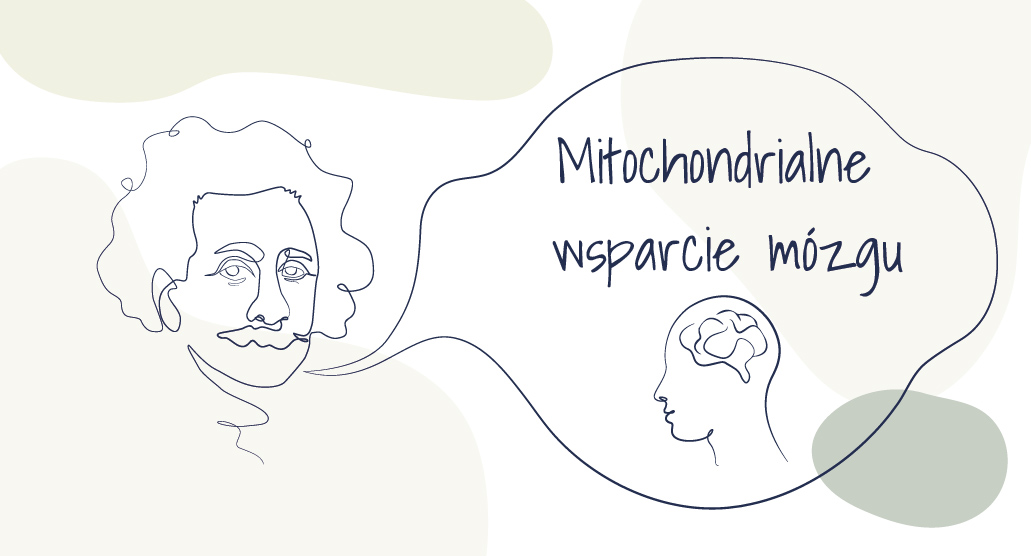 Mitochondrialne wsparcie mózgu