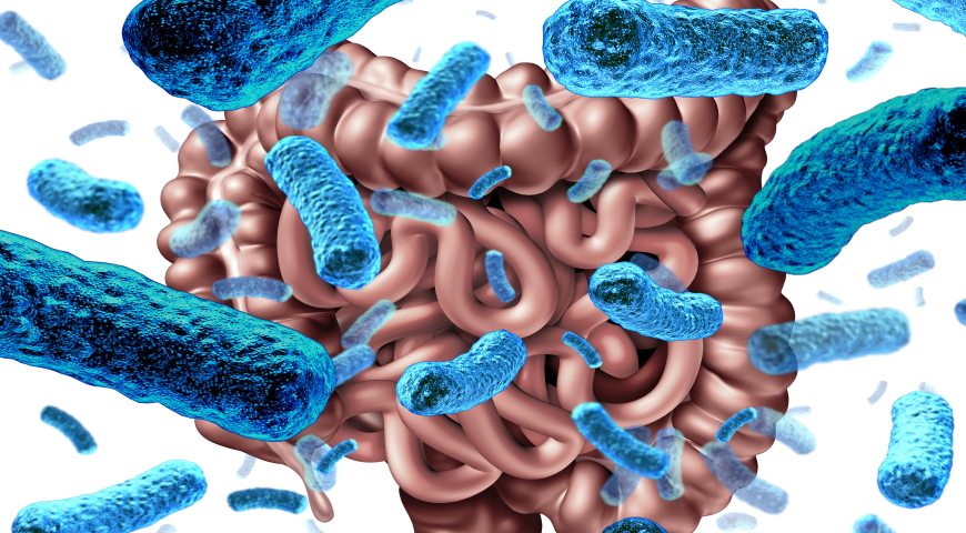 Korzyści z Lactobacillus rhamnosus