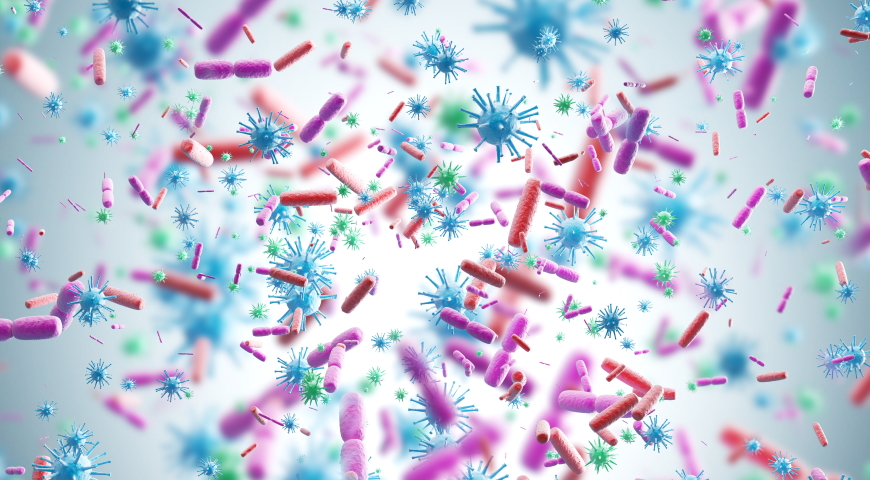 Korzyści zdrowotne - Bifidobacterium longum