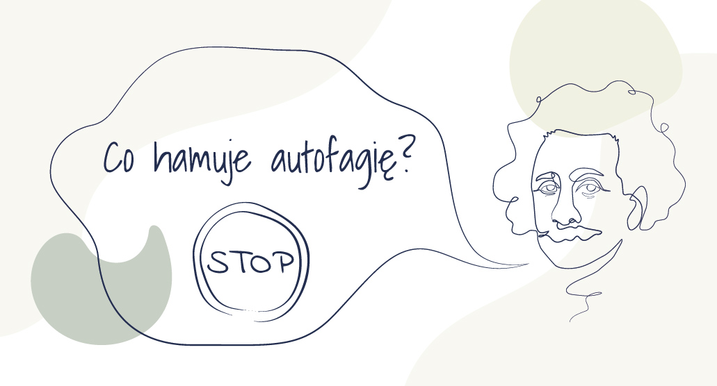 Co hamuje autofagię?