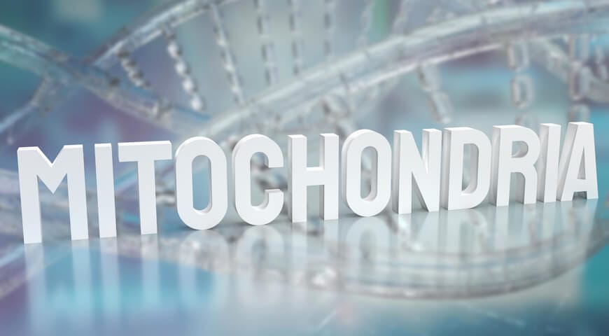 Dysfunkcje mitochondrialne w chorobie Alzheimera
