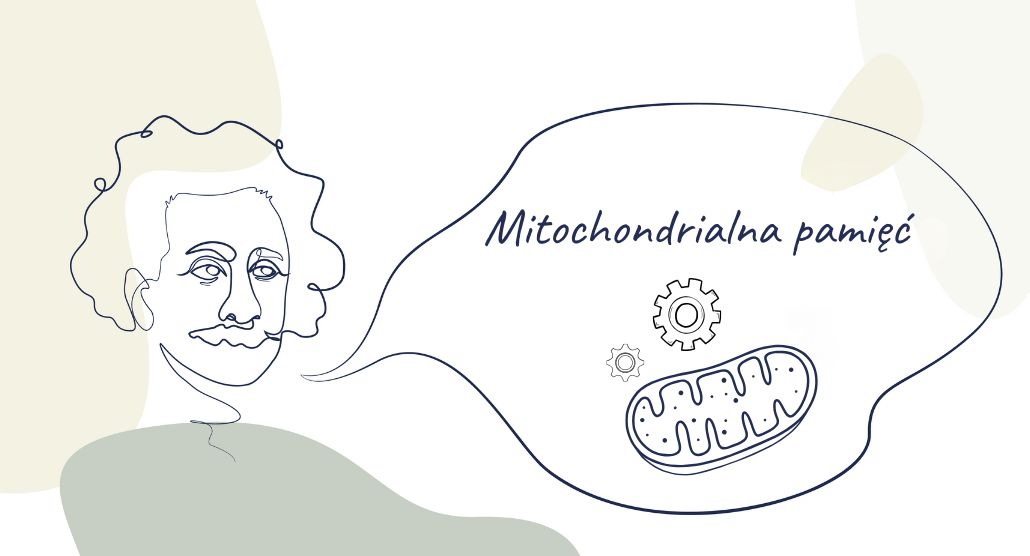 Mitochondrialna pamięć