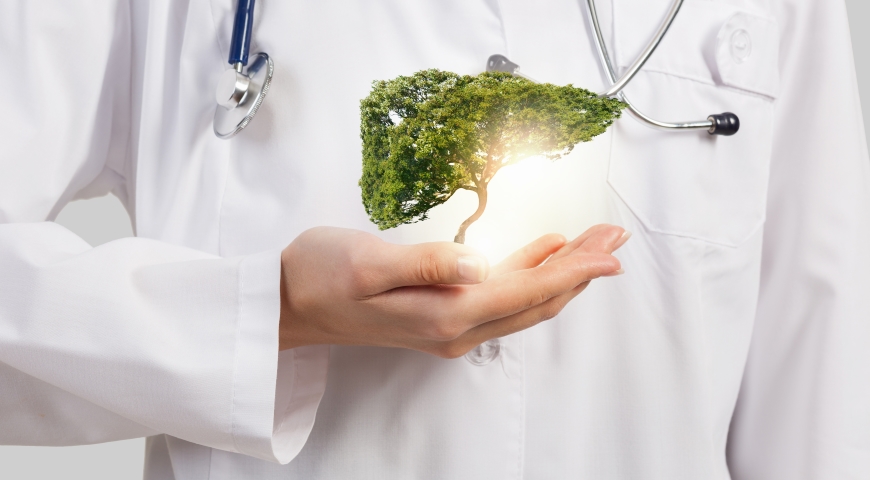 Bunt mitochondriów przyczyną problemów z wątrobą