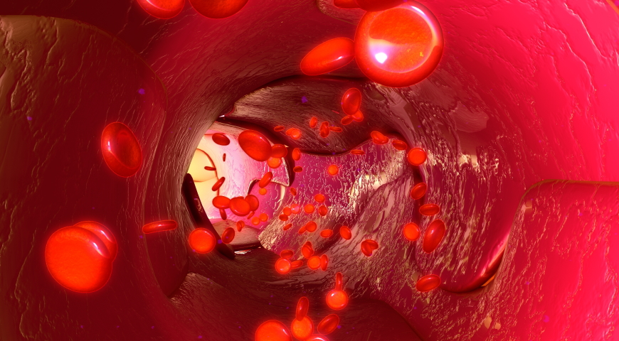 Homocysteina - jak wpływa na zdrowie?