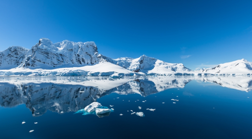 Kwasy omega 3 - optymalne zdrowie dla każdego