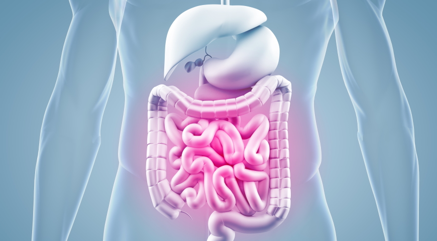 Lactobacillus reuteri – zalety, wady oraz bezpieczeństwo stosowania