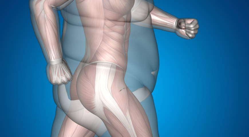 Mitochondrialne odchudzanie