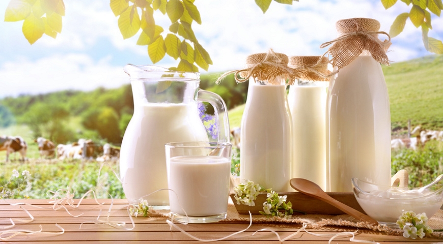 Molkur – jak to działa?