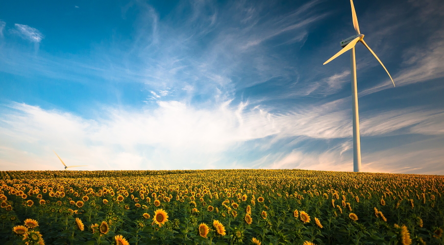 NAD cząsteczka młodości i konsekwencje jej niedoboru
