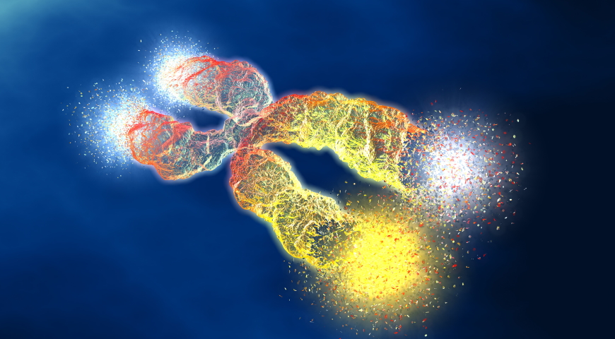 Proces metylacji oraz jego znaczenie dla naszego organizmu