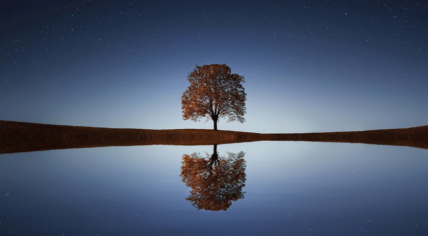 Spermidyna – fontanna młodości