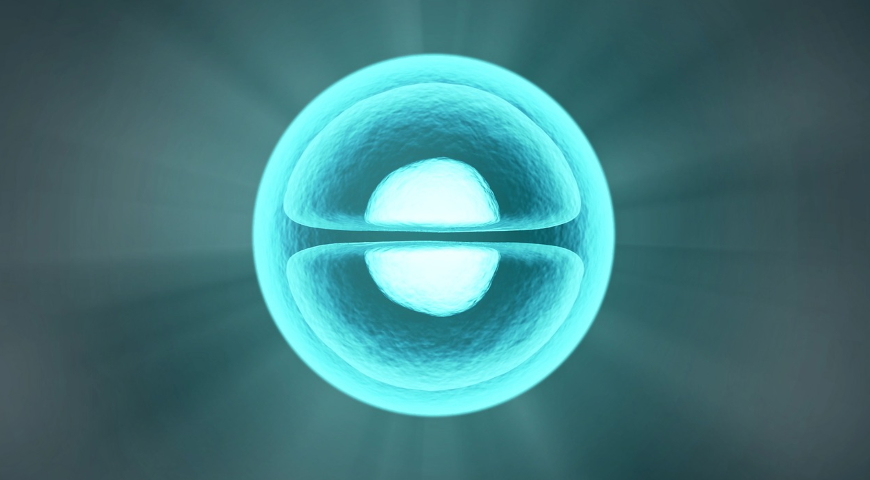 Pierwotne mitochondriopatie – PMD jako szczególny cel stosowania terapii mitochondrialnej