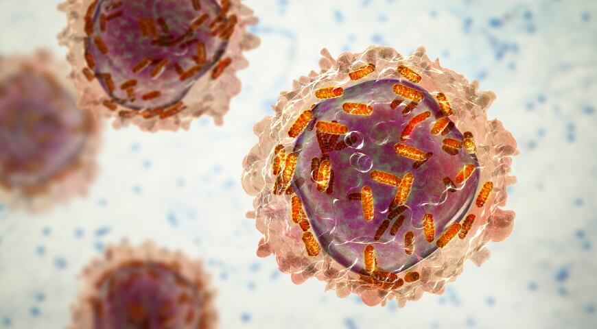 mitochondria nowotwory