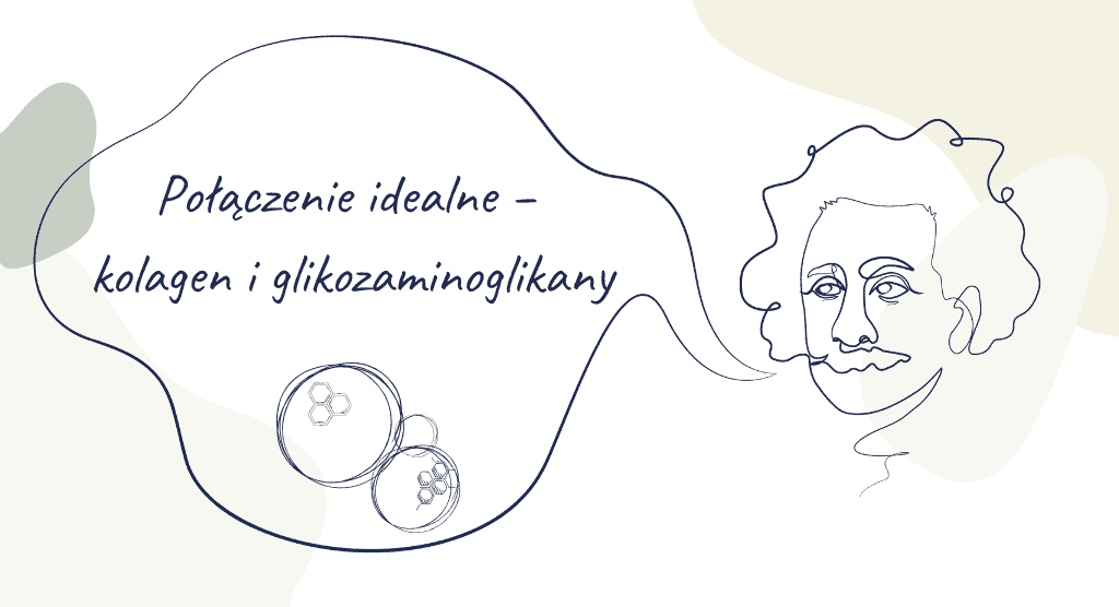 Einstein – Połączenie idealne – kolagen i glikozaminoglikany