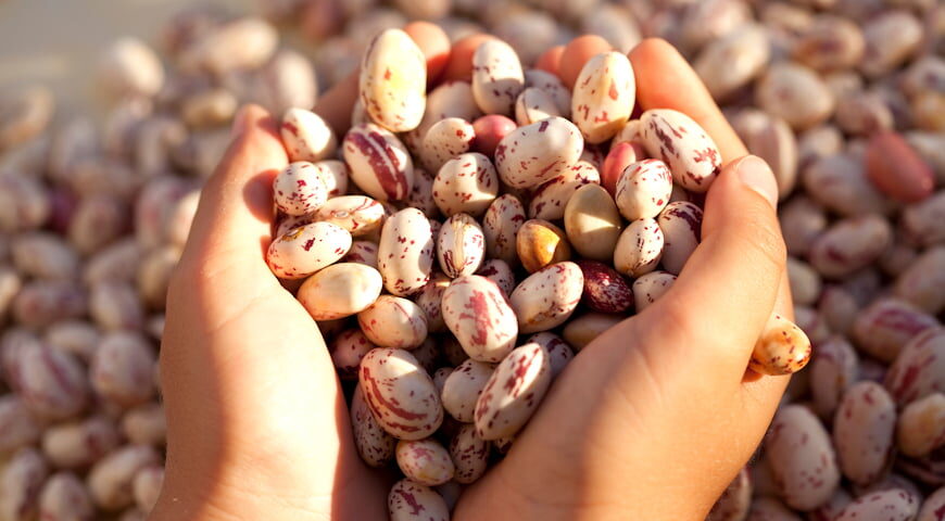 Alarmujący spadek wartości odżywczych – mitomed