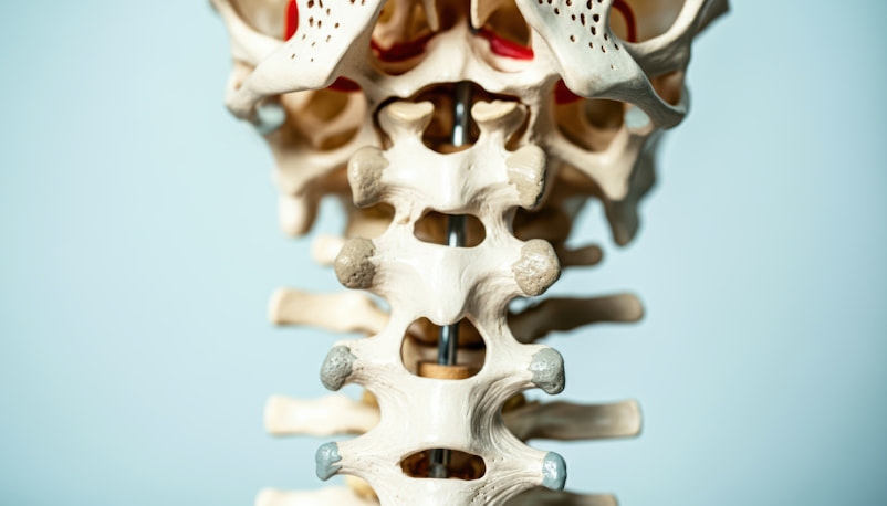 Jak wspomóc kręgosłup szyjny_mitomed
