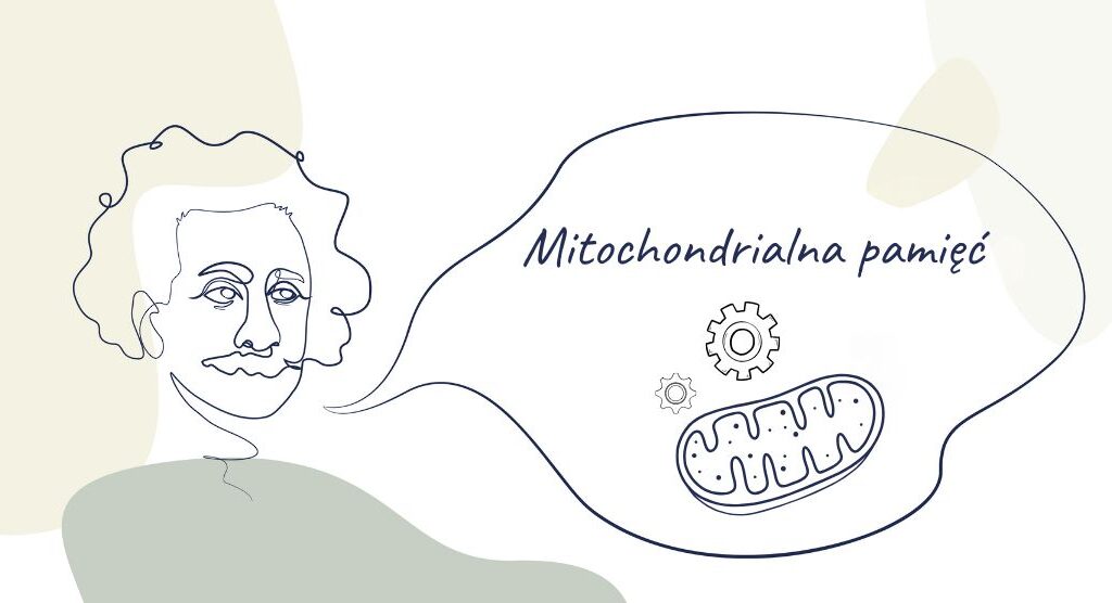 Einstein – Mitochondrialna pamięć
